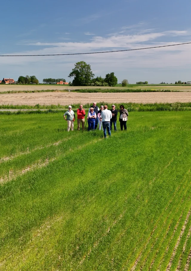 Visit to a flax field - Hondschoote