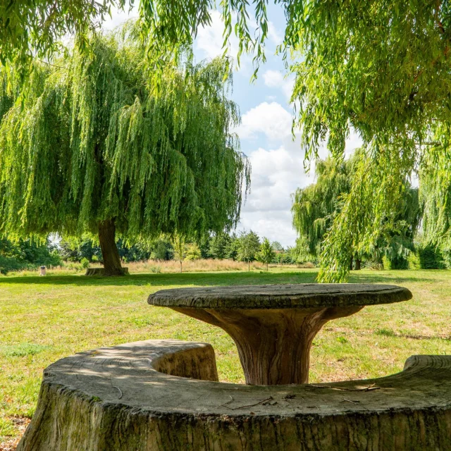 Aire de pique-nique - Bierne