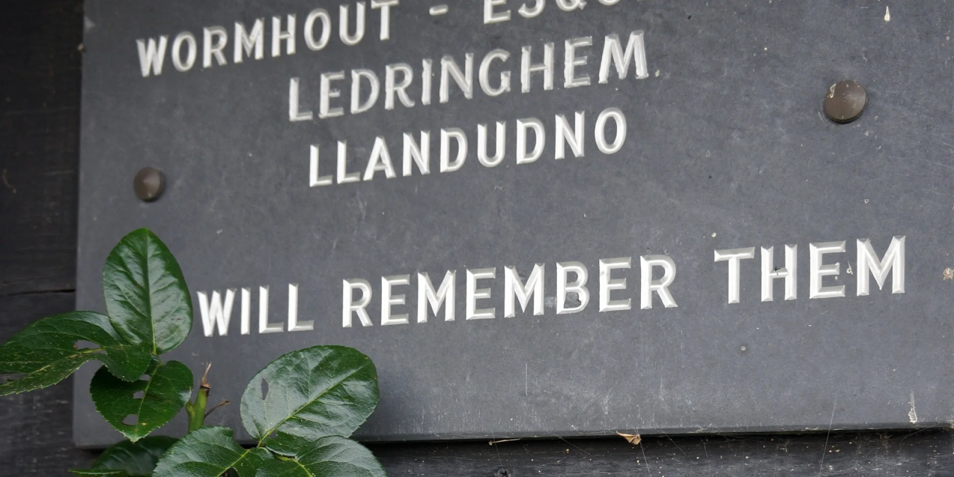 Site De La Plaine Au Bois