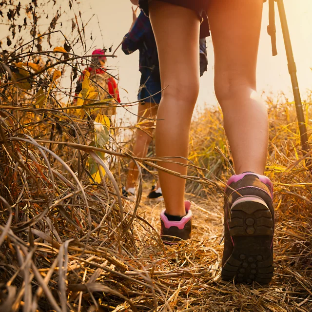 Wandern