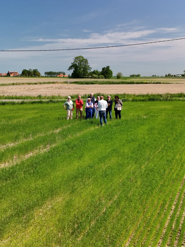 Visite de Champ de Lin